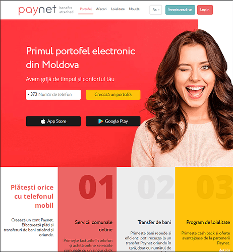 paynet%20homepage%20700%20px.png